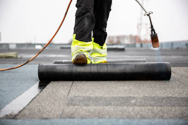 Best Roof Maintenance and Cleaning  in Angustura, NM